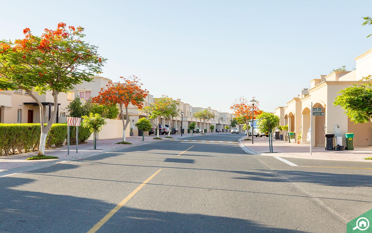 Emirates Living - Springs 5